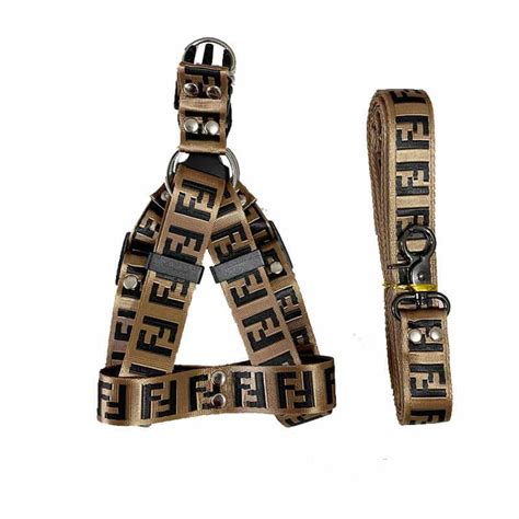 fendi harness for dogs